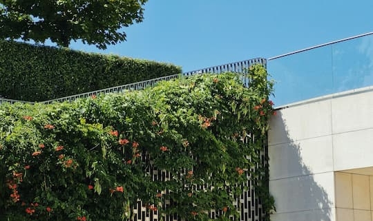 Fachada de edificio moderno con soluciones de eficiencia energética y paneles solares
